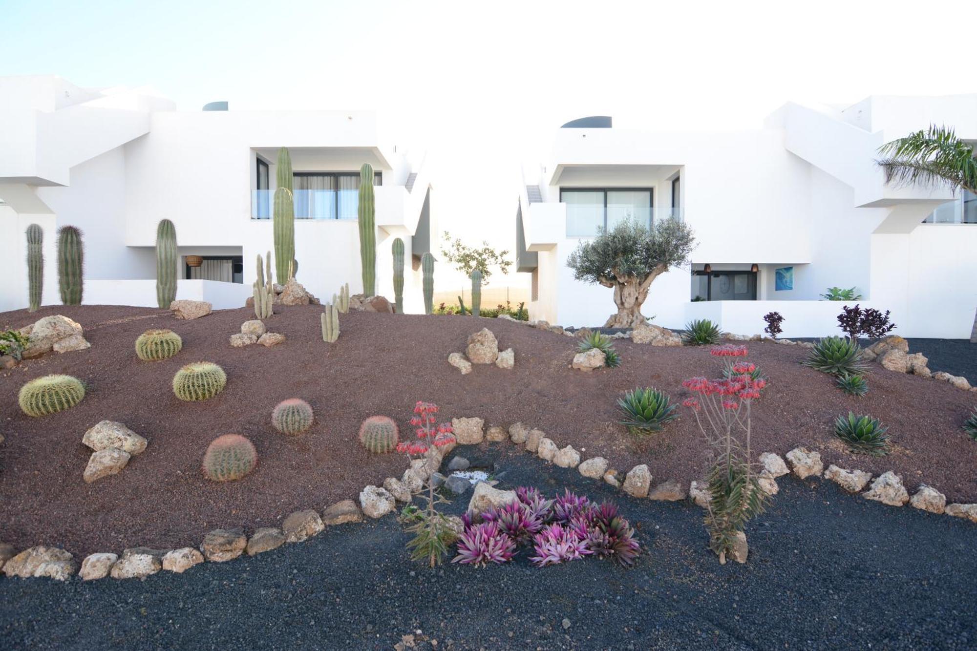 Luxury Apartment In Casilla De Costa - Casa Meva لاجاريس المظهر الخارجي الصورة